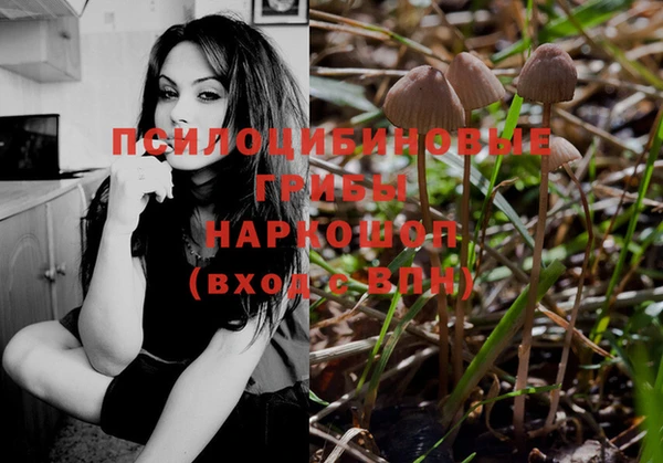 мяу мяу мука Армянск