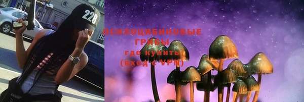 мяу мяу мука Армянск