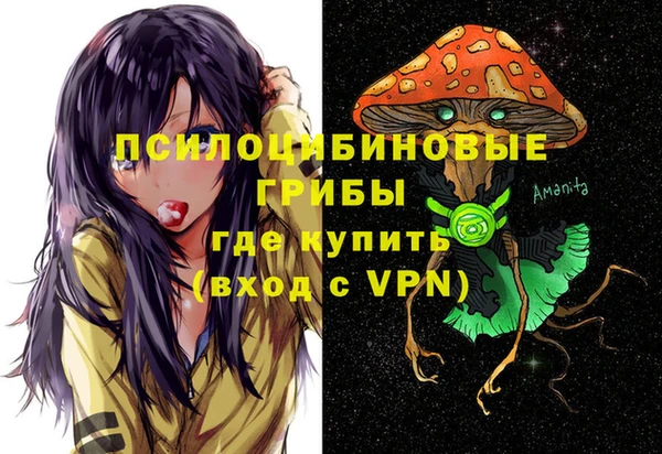 бутират Арсеньев