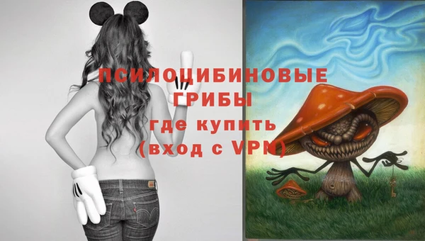 бутират Арсеньев