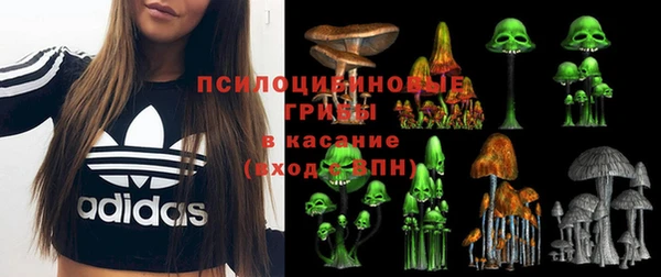 бутират Арсеньев
