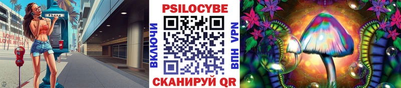 Псилоцибиновые грибы GOLDEN TEACHER где найти Рошаль